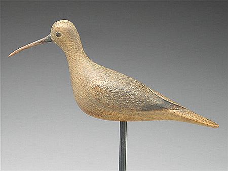 Eskimo curlew