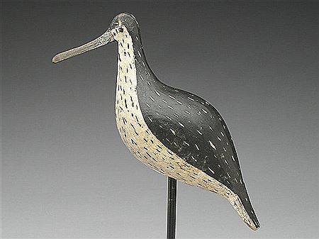 Rare greater yellowlegs