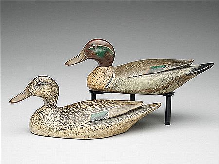 Extremely rare pair of greenwing teal
