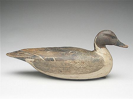 Important and very rare pintail drake