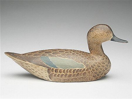 Extremely rare greenwing teal hen