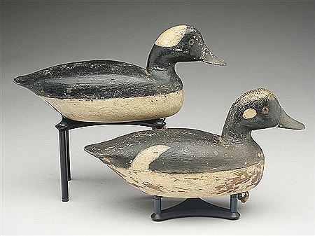 Rare pair of buffleheads