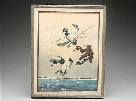 Flying bluebills
