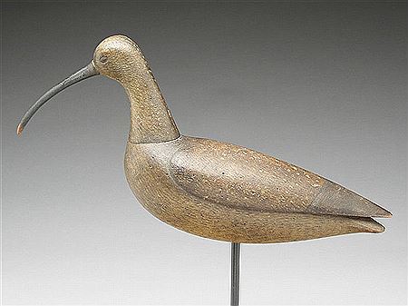 Large curlew