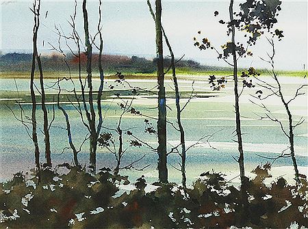 SUNSET LANDSCAPE, TREES AT THE WATER'S EDGE