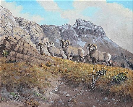 MOUNTAIN RAMS