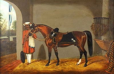 "Madras Body Guard"