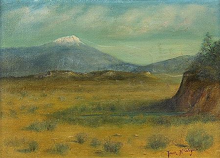 Frank McGlynn - artist photo