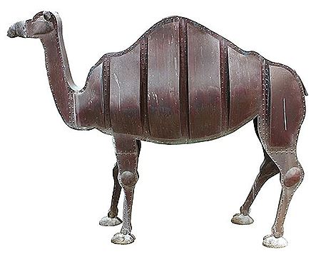 Camel