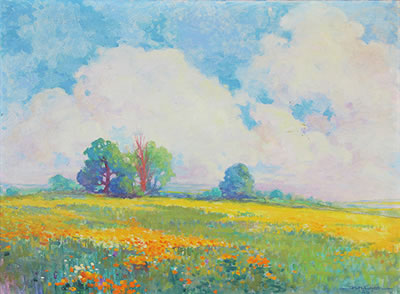 Field of Poppies