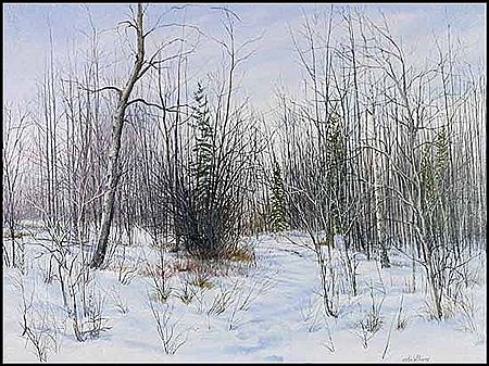 Winter Landscape near Fort McMurray