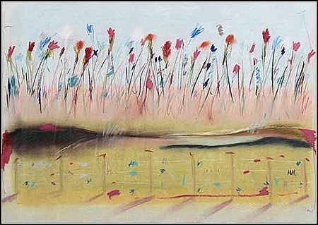 Prairie Flowers