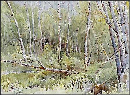 Forest Glade