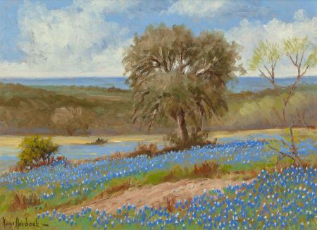 "Bluebonnets, San Antonio, Texas"