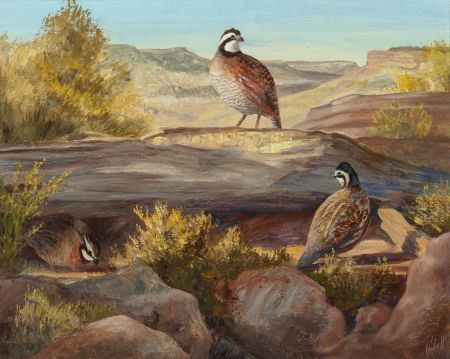 Quail on the Rocky Ledge