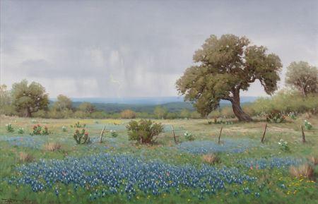 Bluebonnets in Texas Thunderstorm