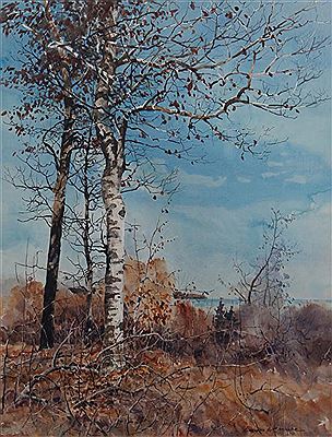 Birch Trees