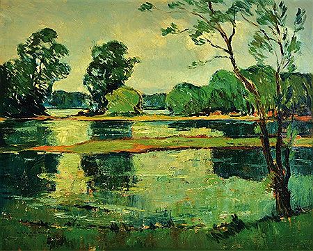 Rheinau landscape