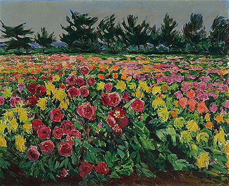Blooming flower meadow