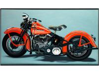 HARLEY DAVIDSON