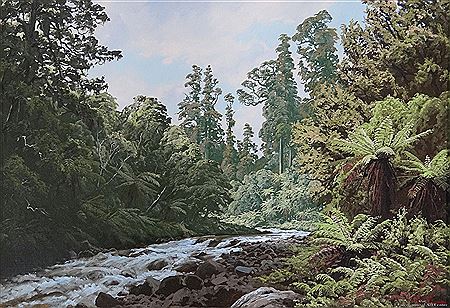 Makakoere Stream, Urewera