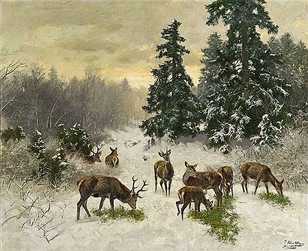 Deer in the forest in winter