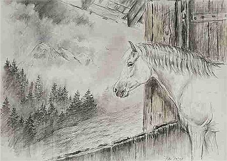 Profile Horse in a stable