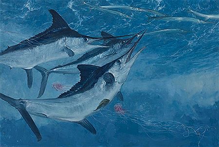 White Marlin 7 - Three White Marlin and Needle Fish