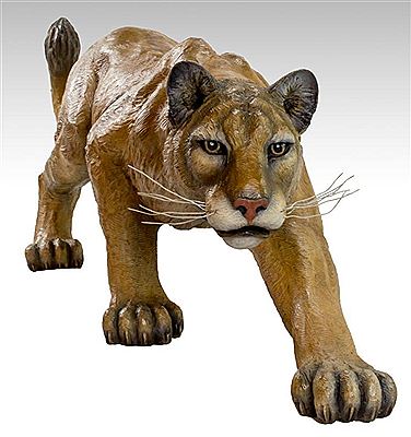 Mountain Lion