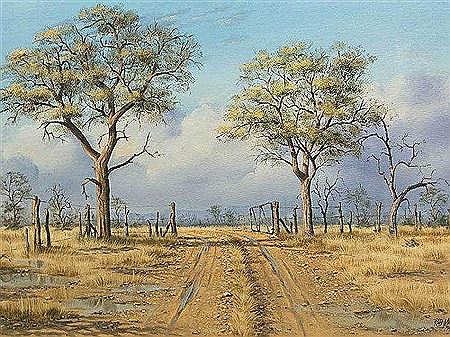 Bushveld Road