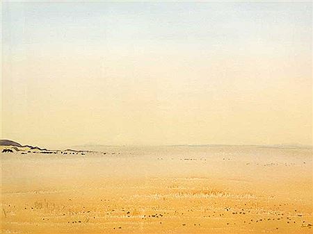 Extensive Landscape