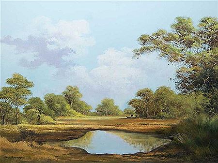 Kruger Park