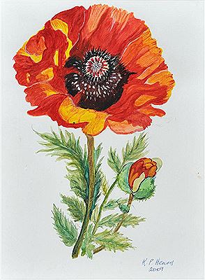 POPPY by Patricia Henry - Auction record, sale price, and art valuation. Compare with similar artists and explore comparable artworks.