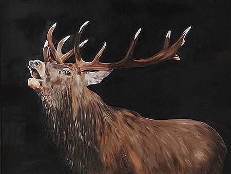 STAG by Michael Smyth - Auction record, sale price, and art valuation. Compare with similar artists and explore comparable artworks.