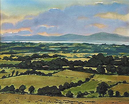 COUNTY DOWN LANDSCAPE