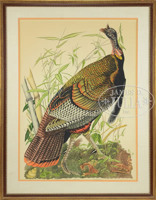 THE GREAT AMERICAN COCK AFTER JOHN J. AUDUBON PLATE NO. 1 by Lois Lester - Auction record, sale price, and art valuation. Compare with similar artists and explore comparable artworks.
