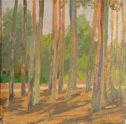 Sonniger Wald