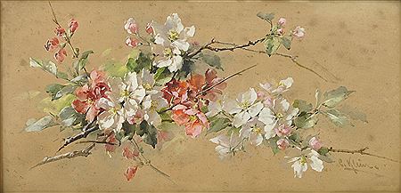 Apfelblüten
