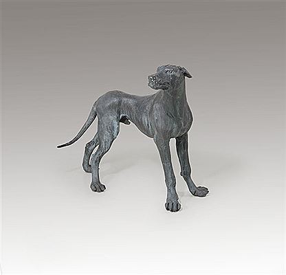 Dogge