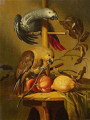 A still life with parrots and fruit