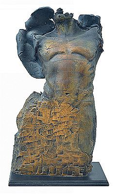 Male Torso