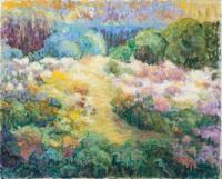 Paysage du Limousin