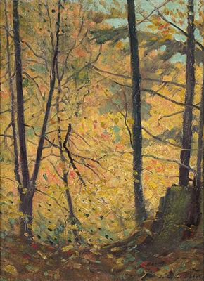 Fall Woods