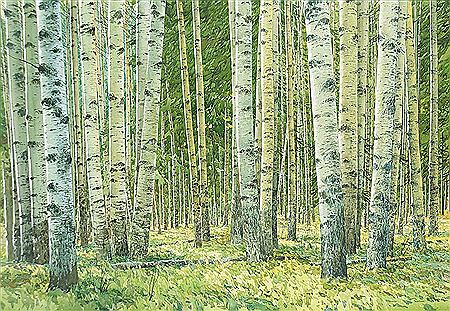 Untitled - In the Birch Trees