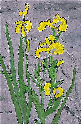 Yellow Iris, Beaver Lake