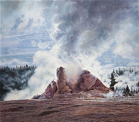 Steaming Geyser