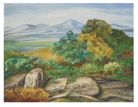 Canteras de tepetate by Ana Waterland - Auction record, sale price, and art valuation. Compare with similar artists and explore comparable artworks.