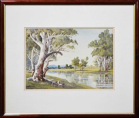 Sheep Grazing Benneath Gums on the Banks of a River