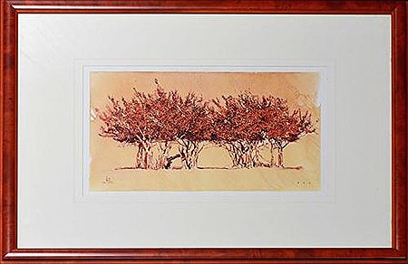 Coppice - The Wren