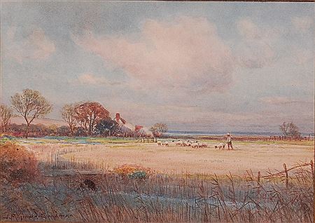 East Anglian landscape
